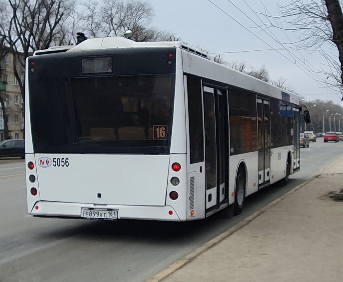 Ростовская область, МАЗ-203.069 № 5056