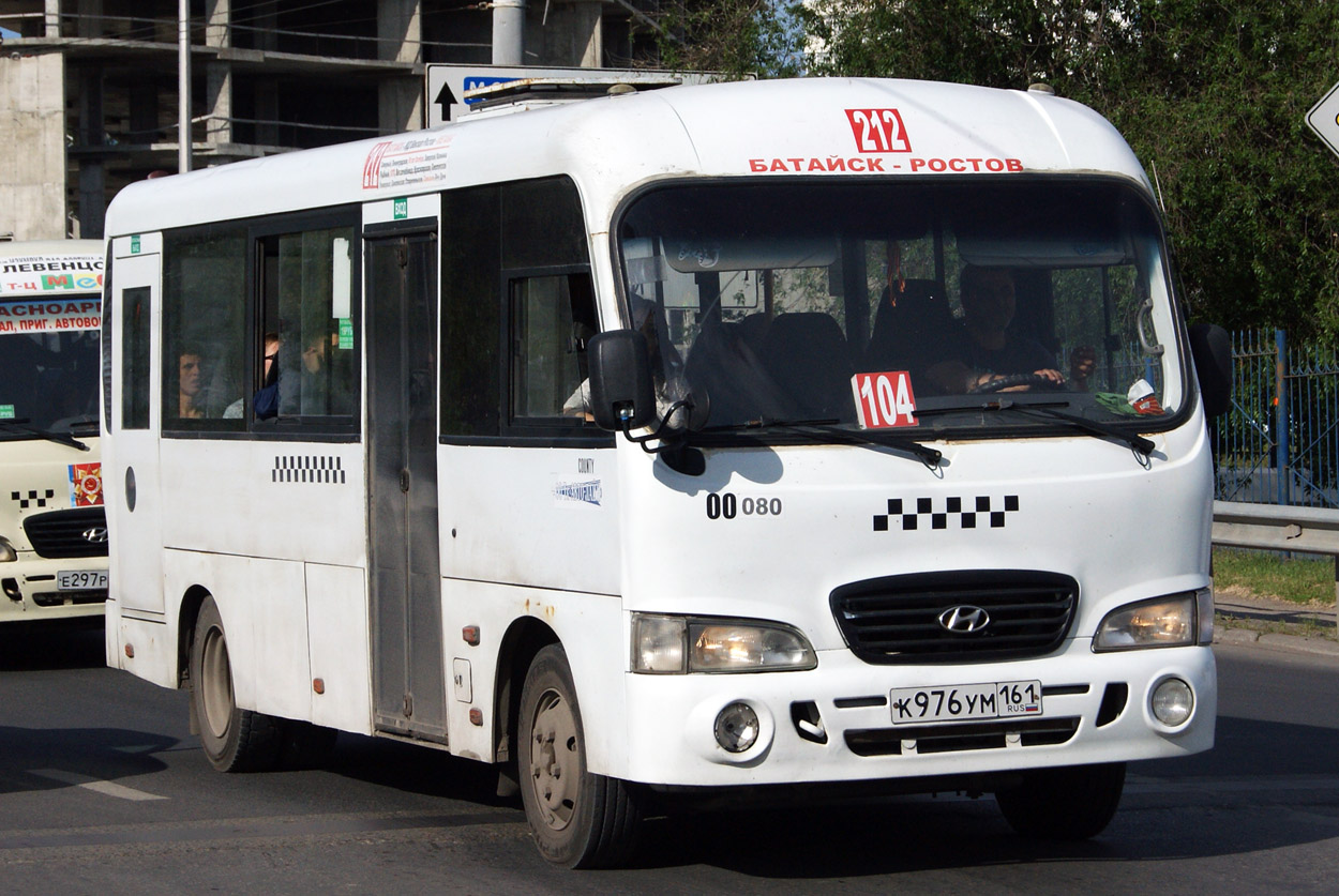 Ростовская область, Hyundai County LWB C11 (ТагАЗ) № 080