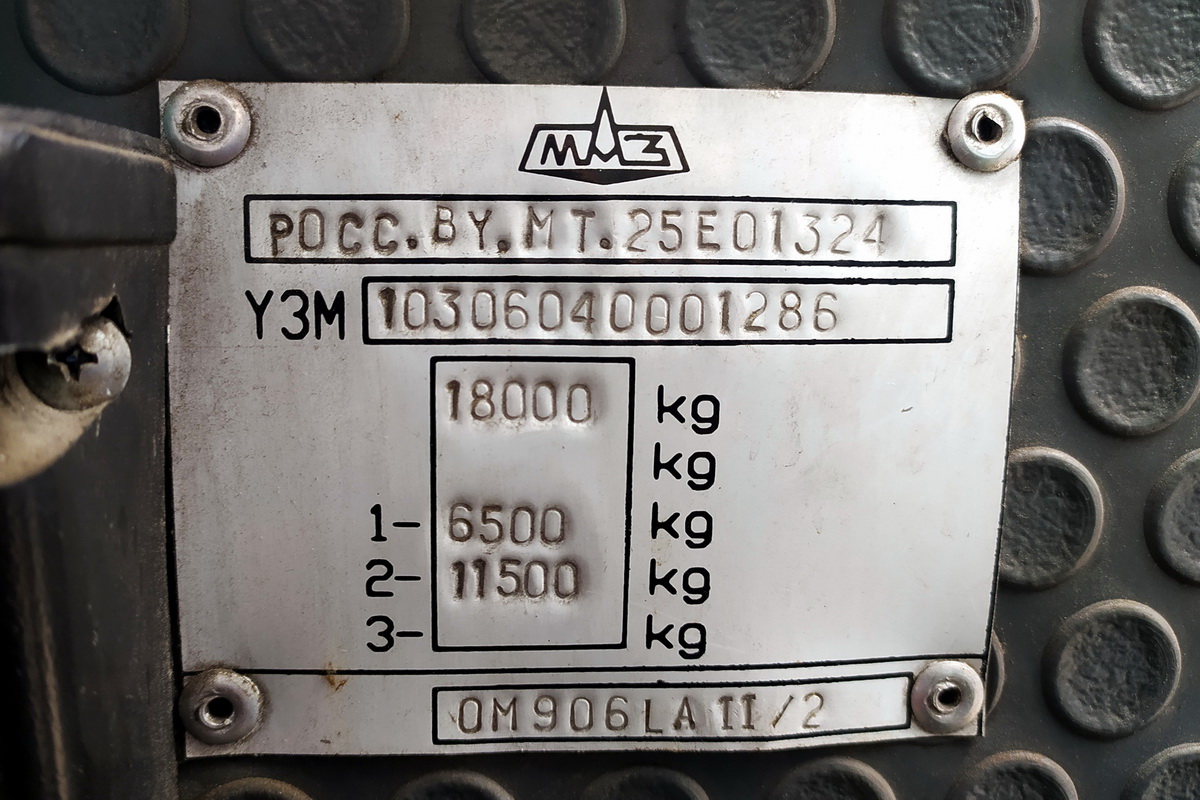 Одесская область, МАЗ-103.060 № 3133