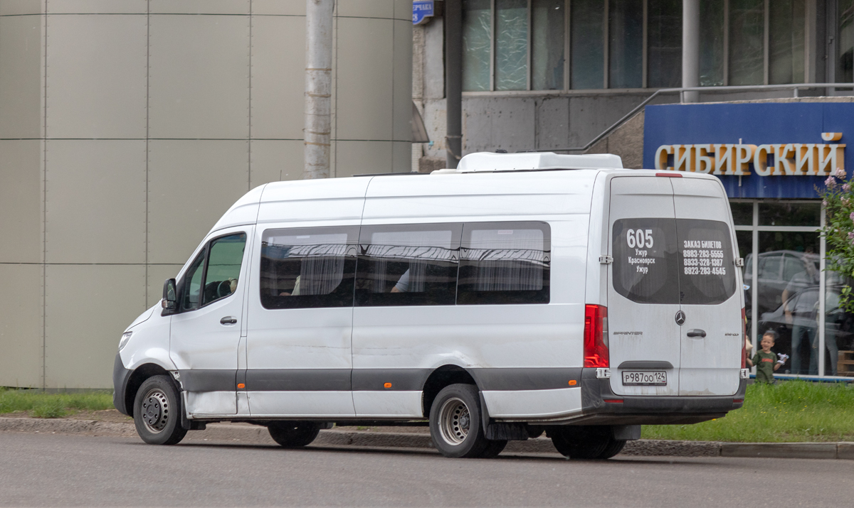 Красноярский край, Луидор-223685 (MB Sprinter) № Р 987 ОО 124