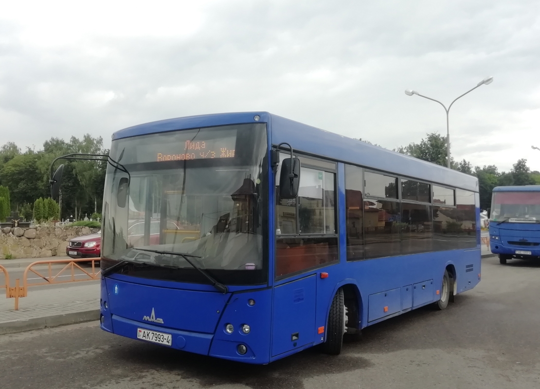 Гродненская область, МАЗ-226.063 № 020818