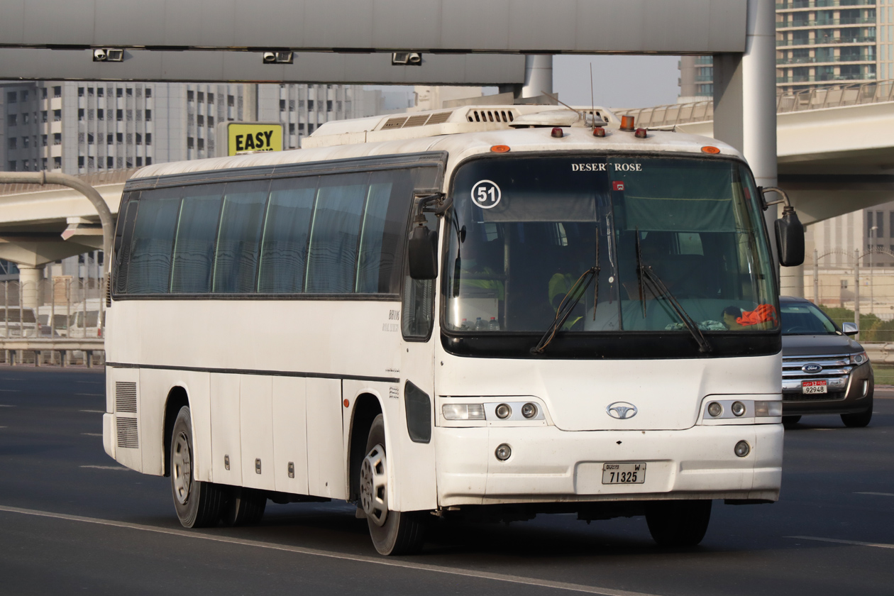 ОАЭ, Daewoo BH116 Royal Luxury № 51