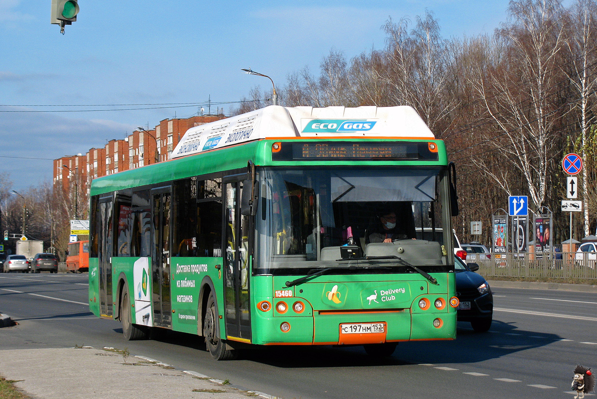 Нижегородская область, ЛиАЗ-5292.67 (CNG) № 15460