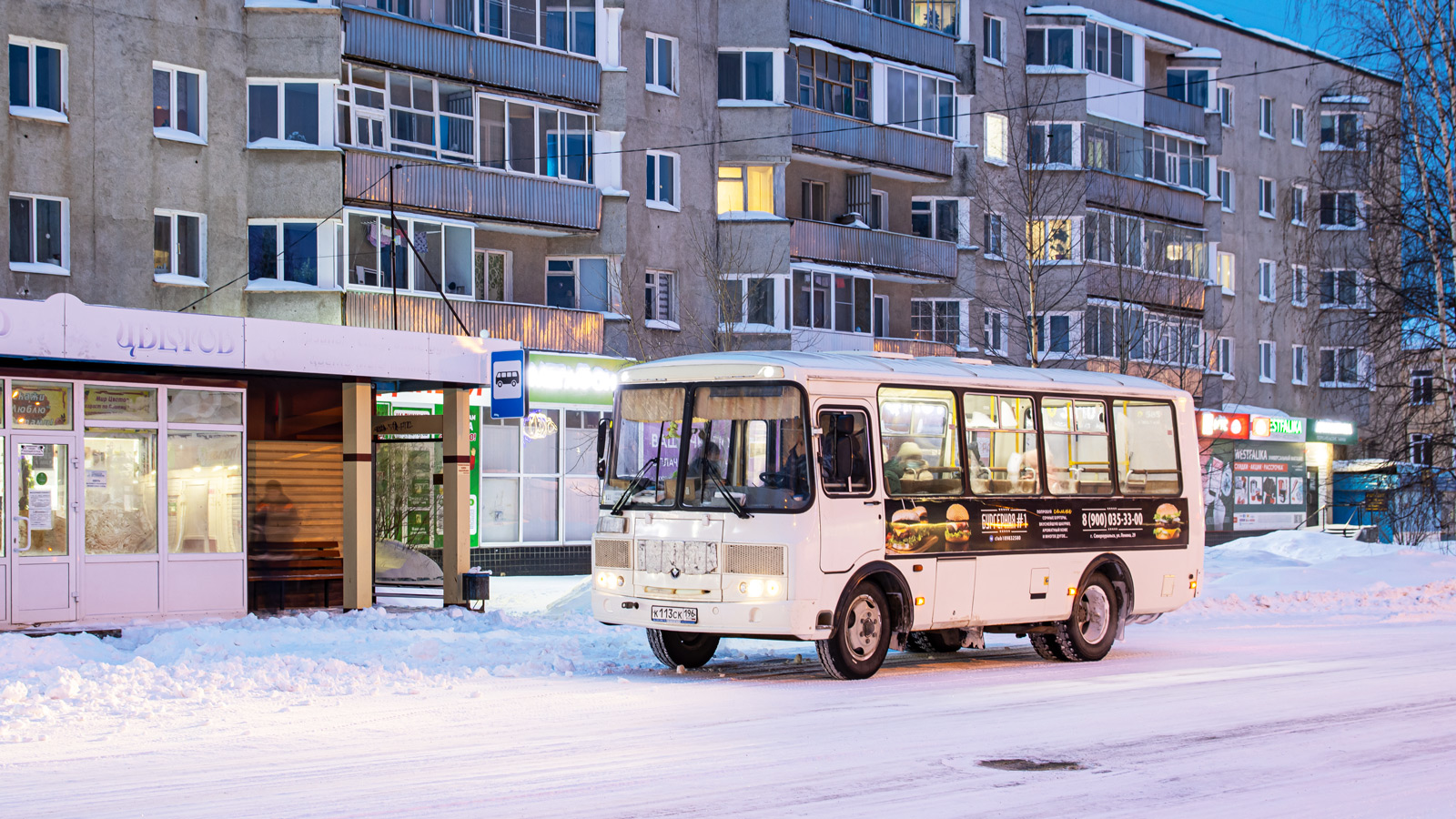Свердловская область, ПАЗ-32054 № К 113 СК 196