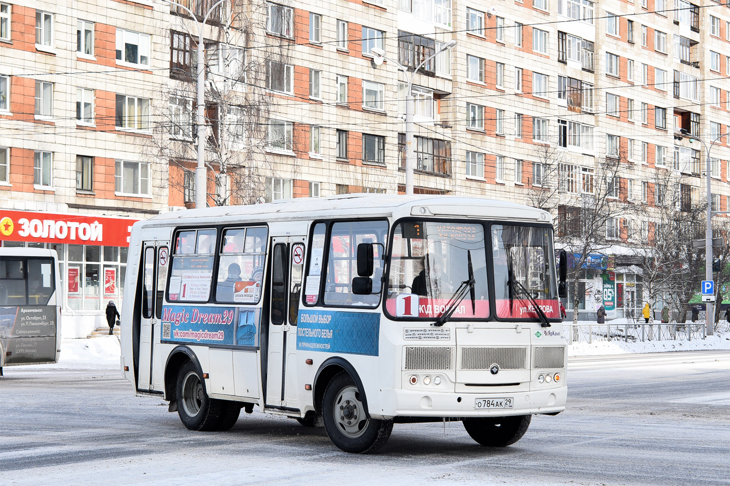 Архангельская область, ПАЗ-320540-22 № О 784 АК 29