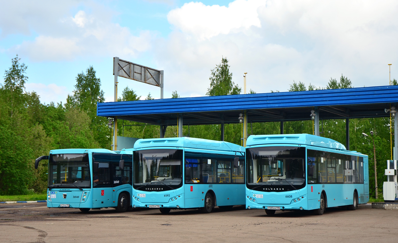 Санкт-Петербург, Volgabus-5270.G4 (CNG) № 6608