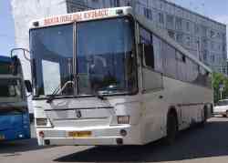494 КБ