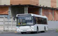 294 КБ