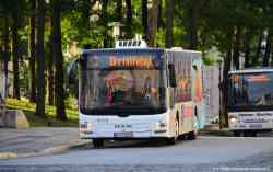 377 КБ