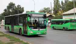 503 КБ