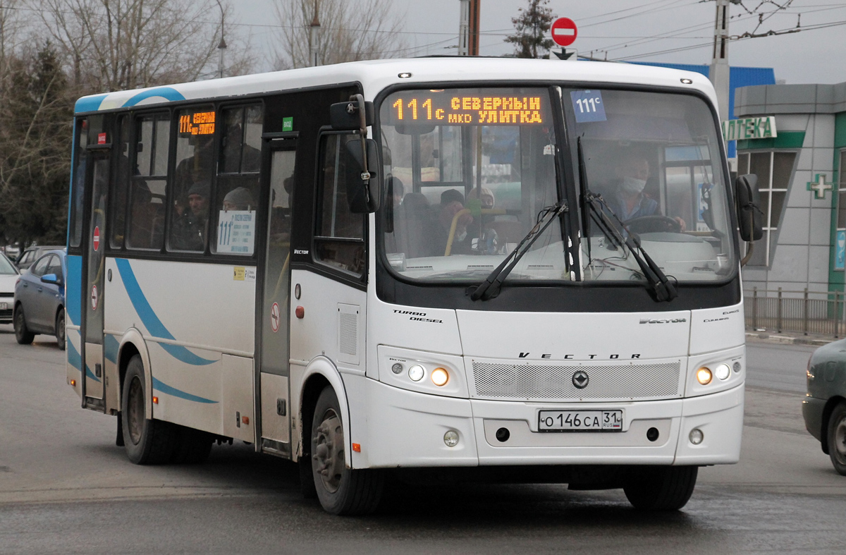 Белгородская область, ПАЗ-320412-05 "Вектор" № О 146 СА 31