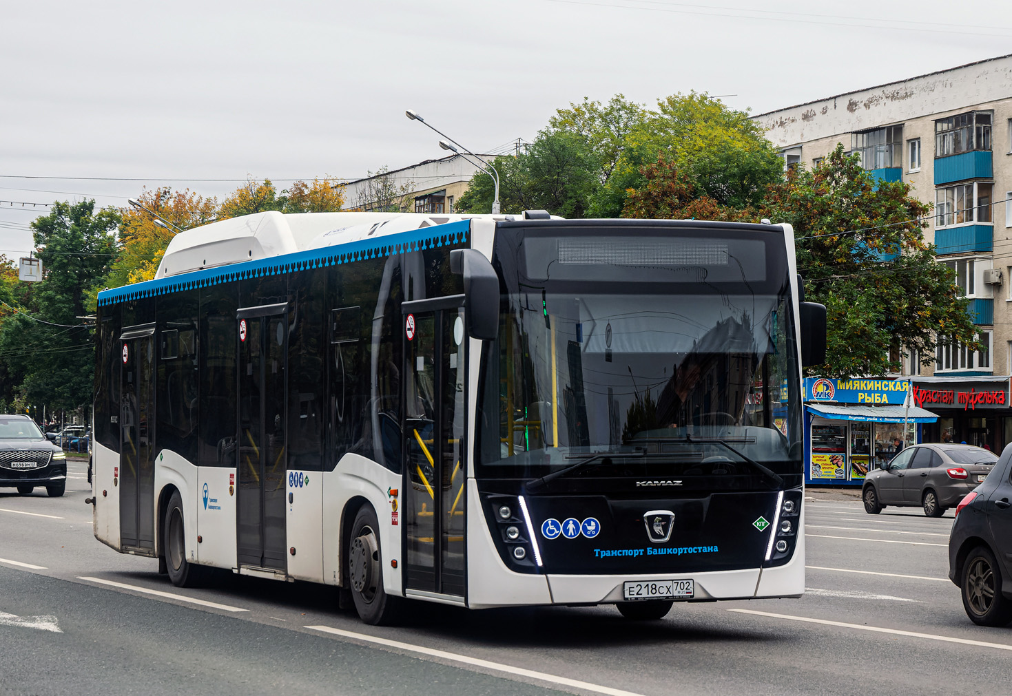 Башкортостан, НефАЗ-5299-30-57 № 6869