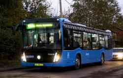 598 КБ