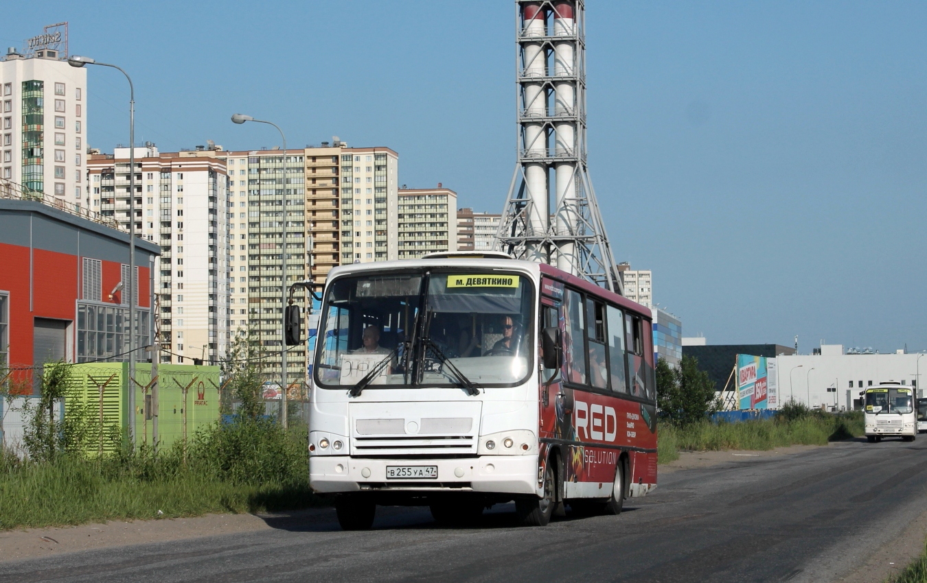 Ленинградская область, ПАЗ-320402-05 № В 255 УА 47
