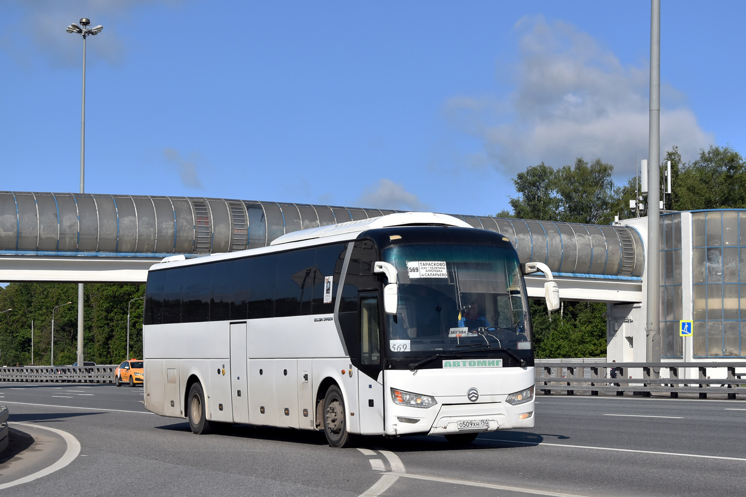 Московская область, Golden Dragon XML6126JR № О 509 ХН 750