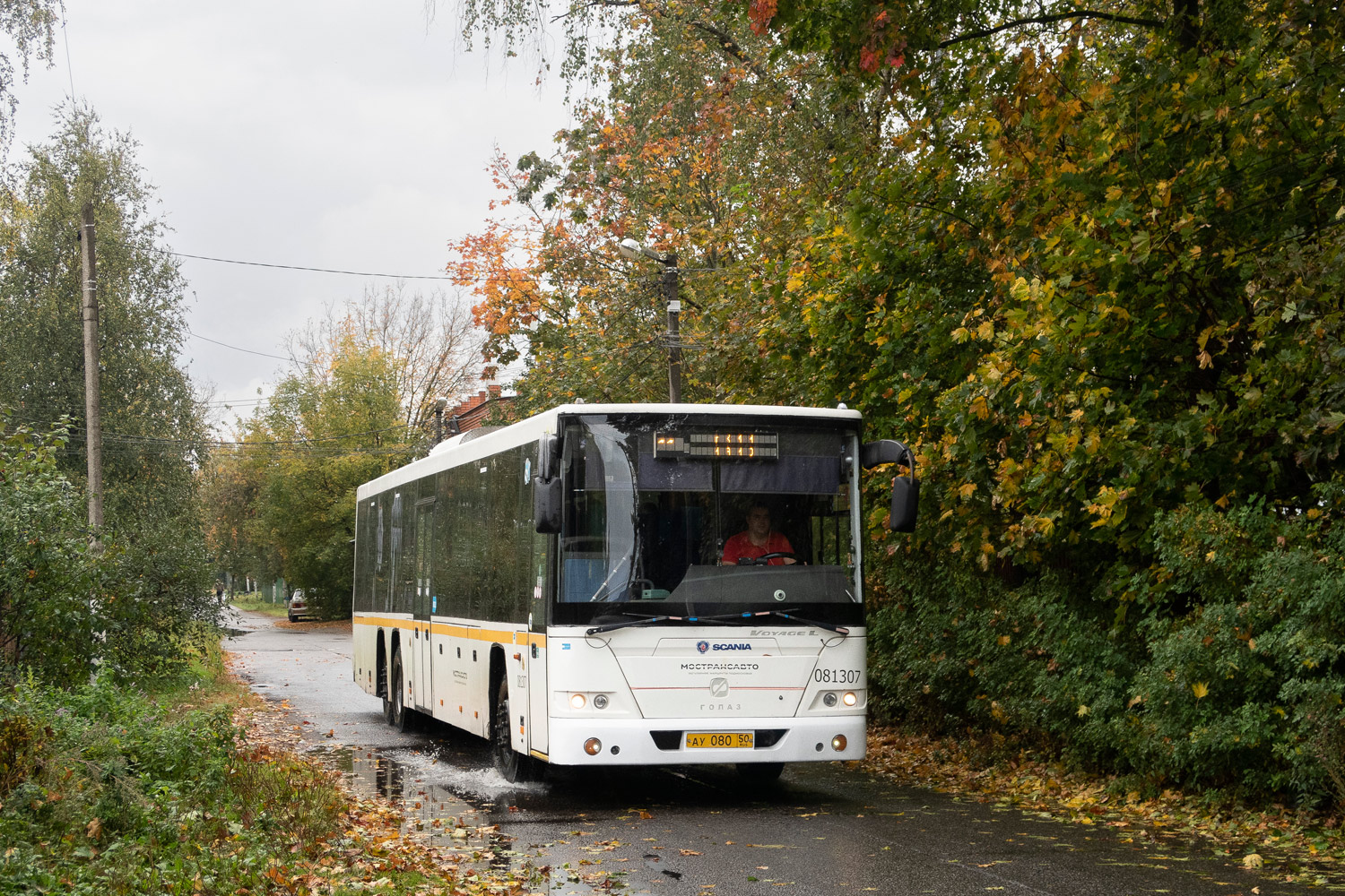 Московская область, ГолАЗ-622810-10 № 081307