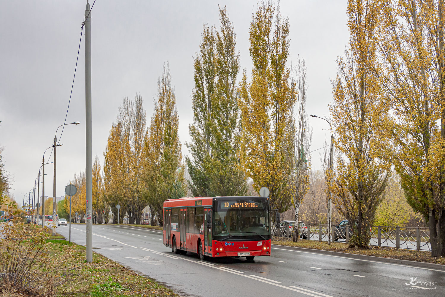 Татарстан, МАЗ-203.069 № 907