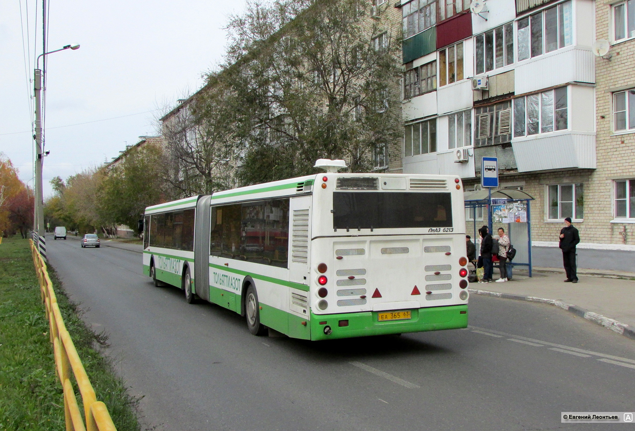 Самарская область, ЛиАЗ-6213.22 № ЕА 365 63