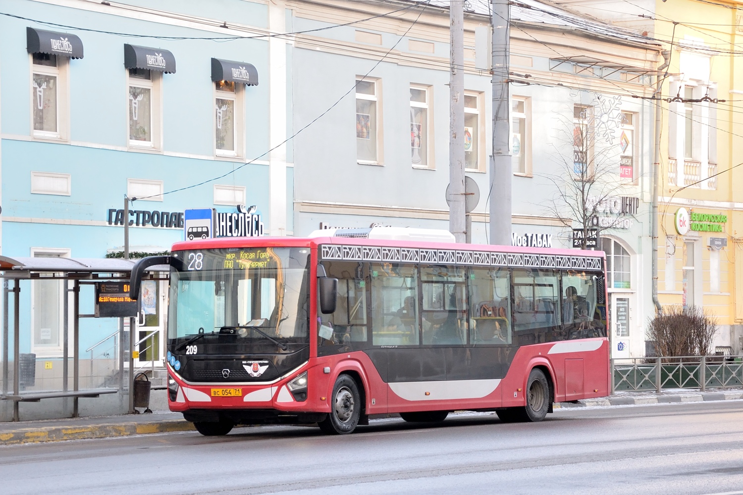 Тульская область, ПАЗ-422320-04 "Citymax 9" № 209