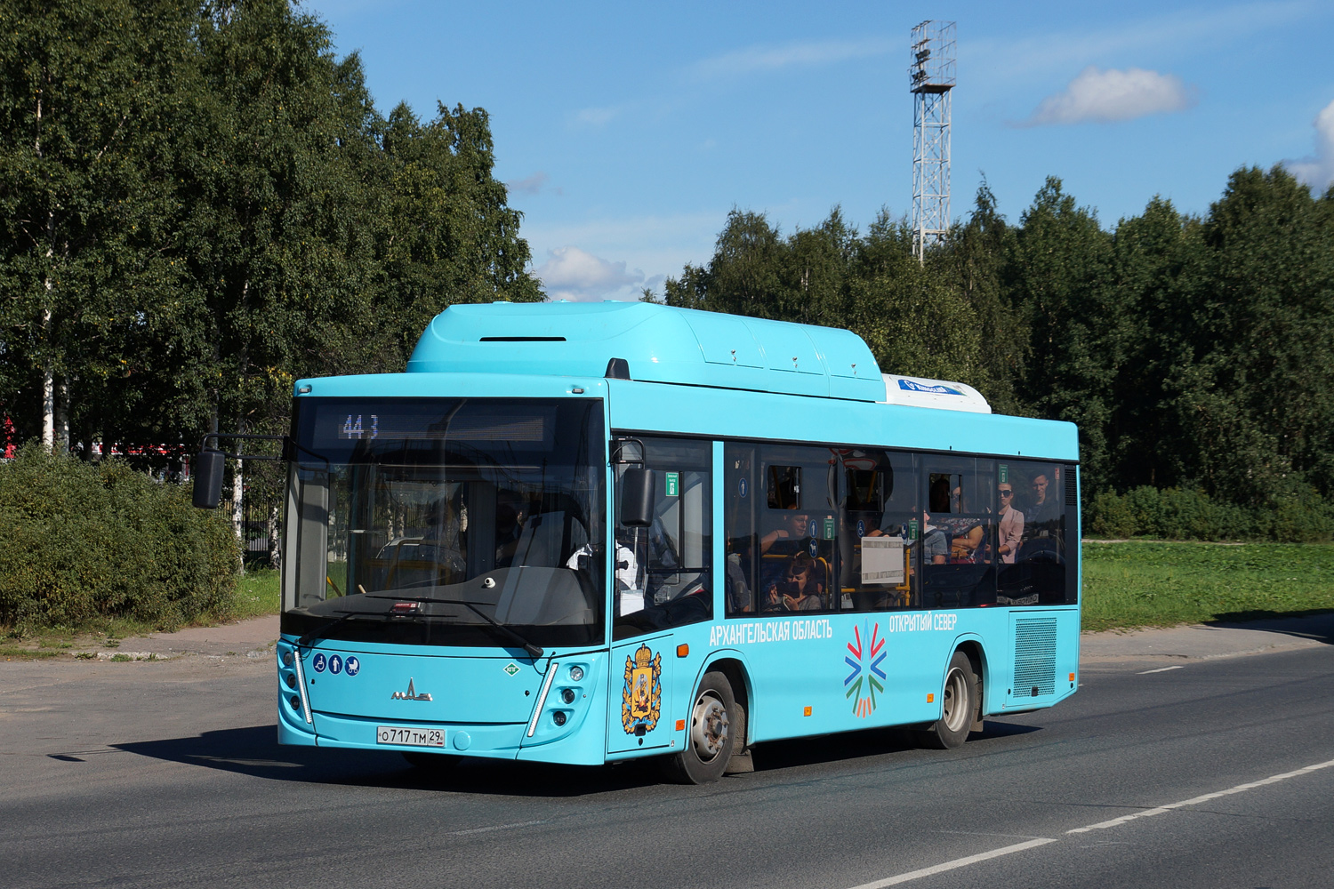 Архангельская область, МАЗ-206.948 № О 717 ТМ 29