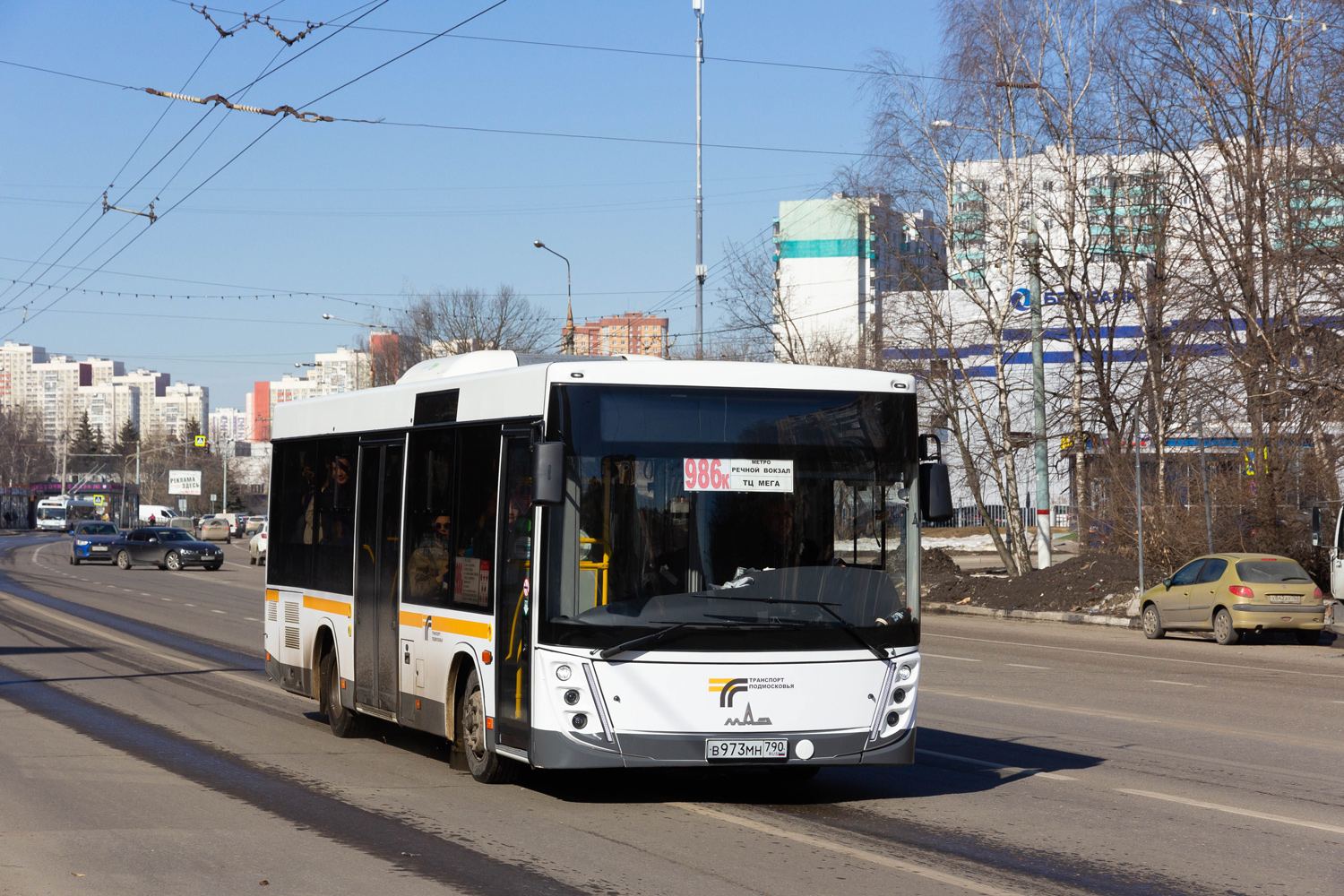 Московская область, МАЗ-206.047 № В 973 МН 790