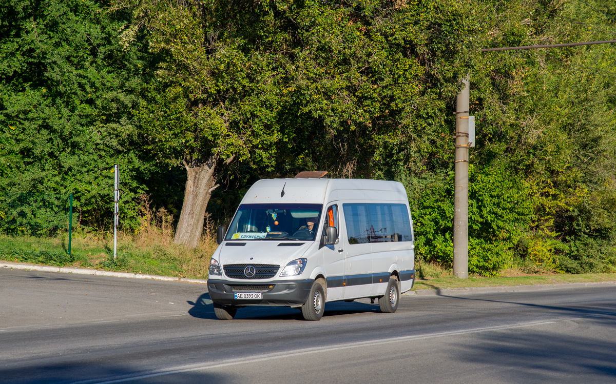 Днепропетровская область, Mercedes-Benz Sprinter W906 313CDI № AE 0393 OK