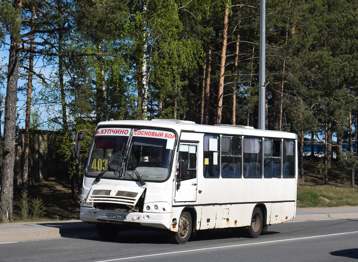 Ленинградская область, ПАЗ-320402-05 № 13134