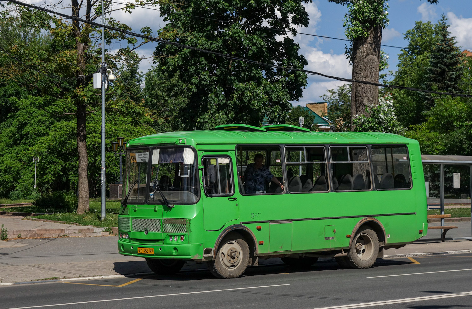 Псковская область, ПАЗ-320540-22 № 387