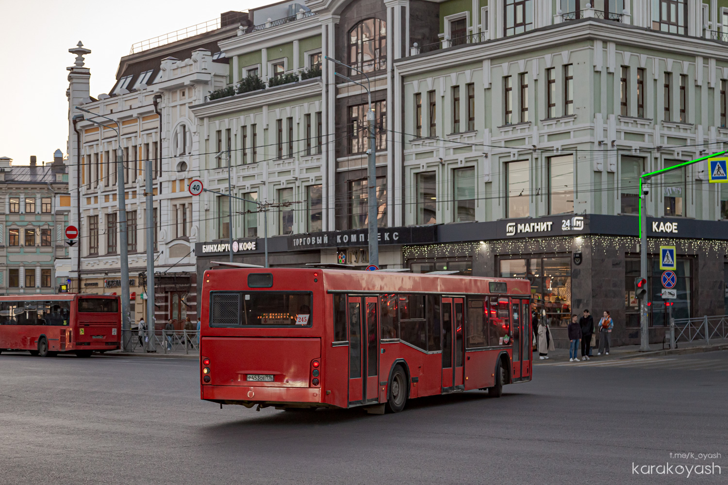 Татарстан, МАЗ-103.465 № 245