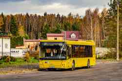 699 КБ