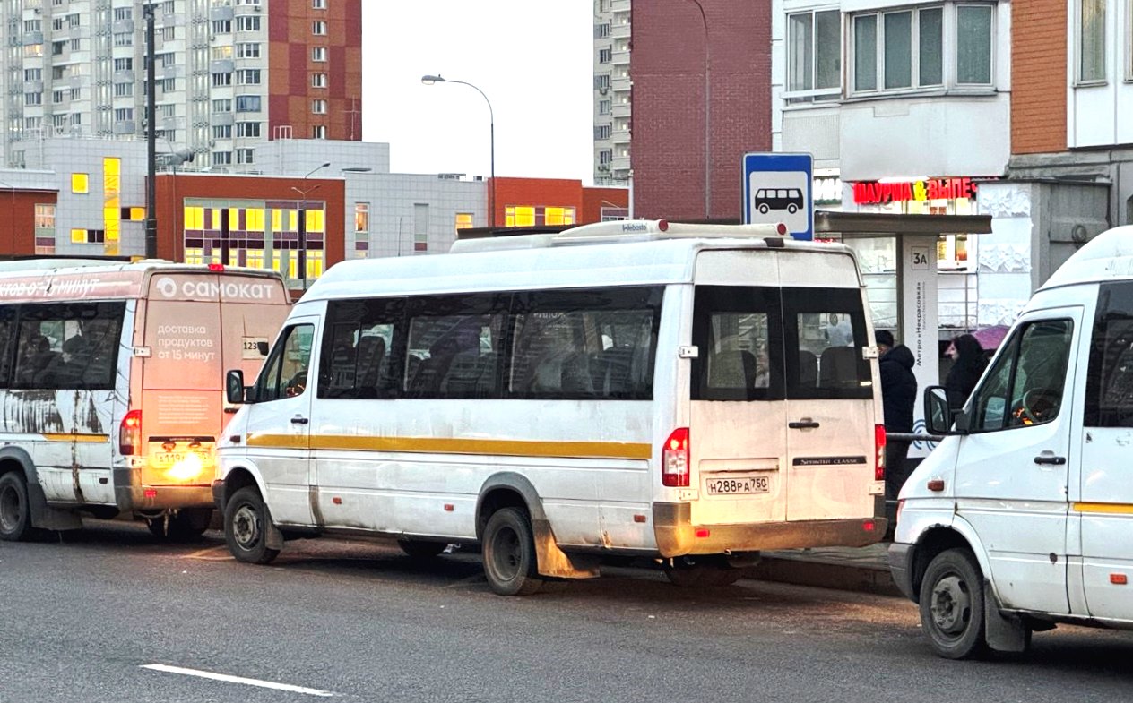 Московская область, Луидор-223237 (MB Sprinter Classic) № 011614