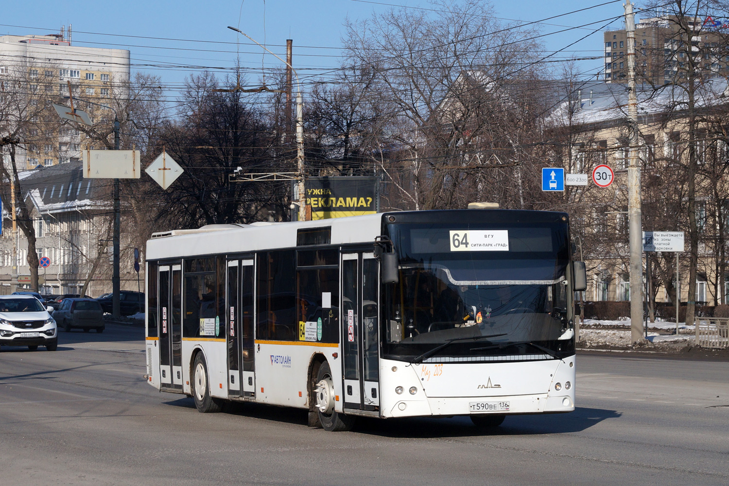 Воронежская область, МАЗ-203.068 № Т 590 ВЕ 136