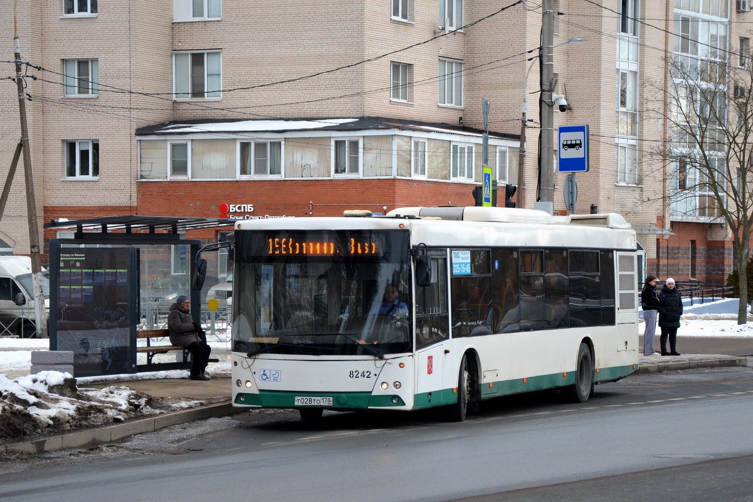Санкт-Петербург, МАЗ-203.085 № 8242