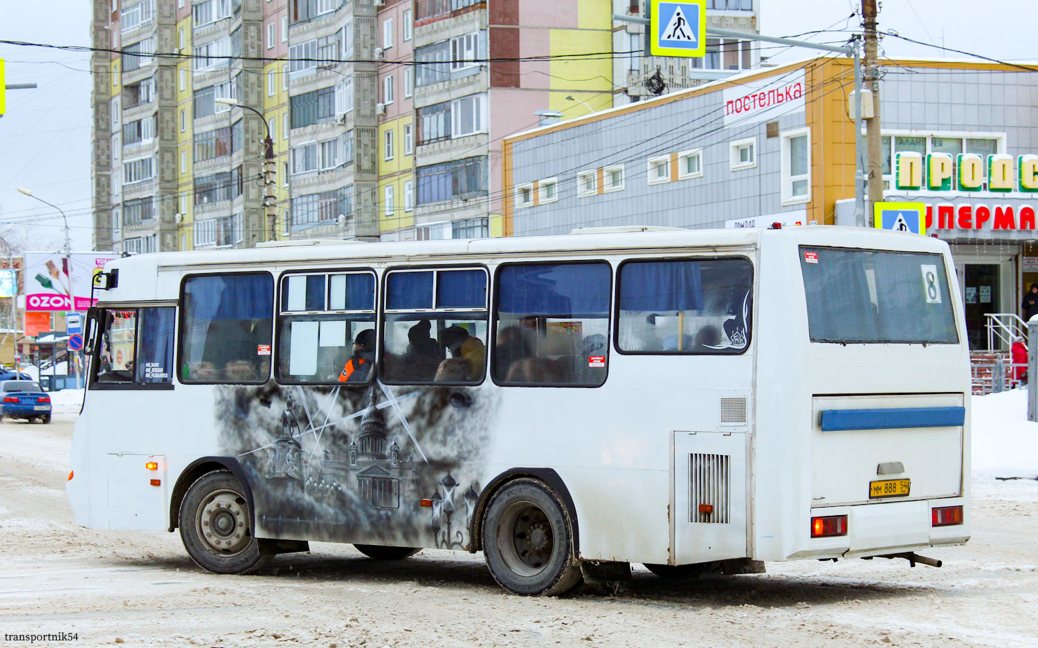 Новосибирская область, ПАЗ-4230-03 № ММ 888 54