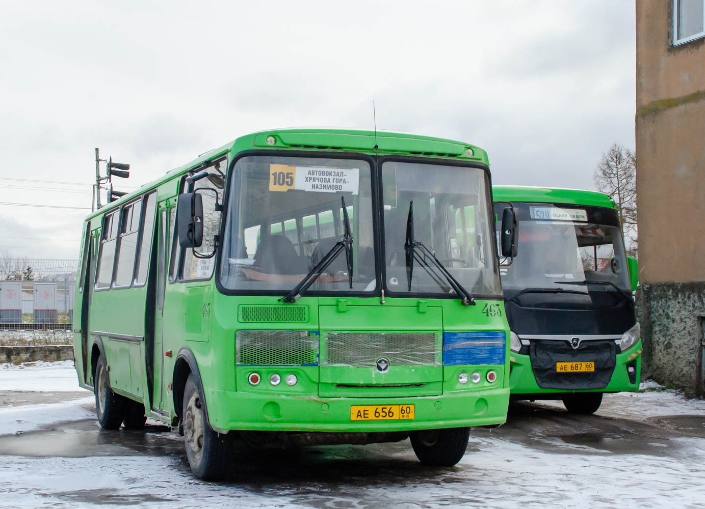 Псковская область, ПАЗ-4234-04 № 463
