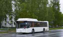 629 КБ