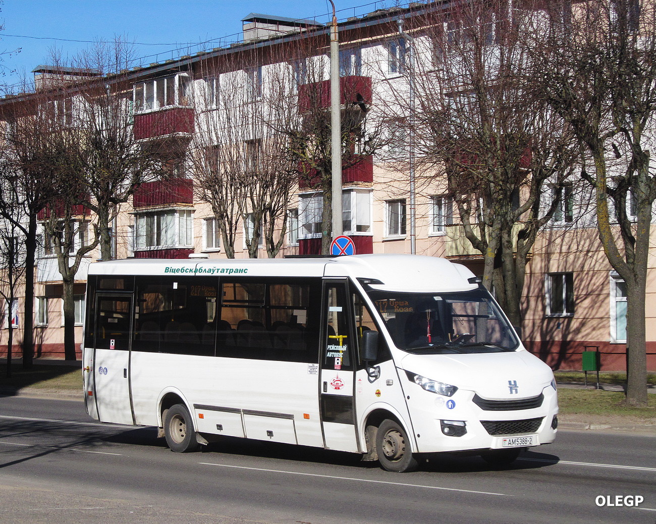 Витебская область, Неман-420211-511 № 10084