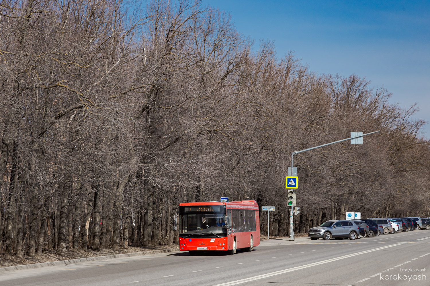 Татарстан, МАЗ-203.069 № 780