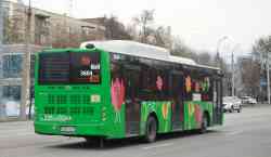 4206 КБ