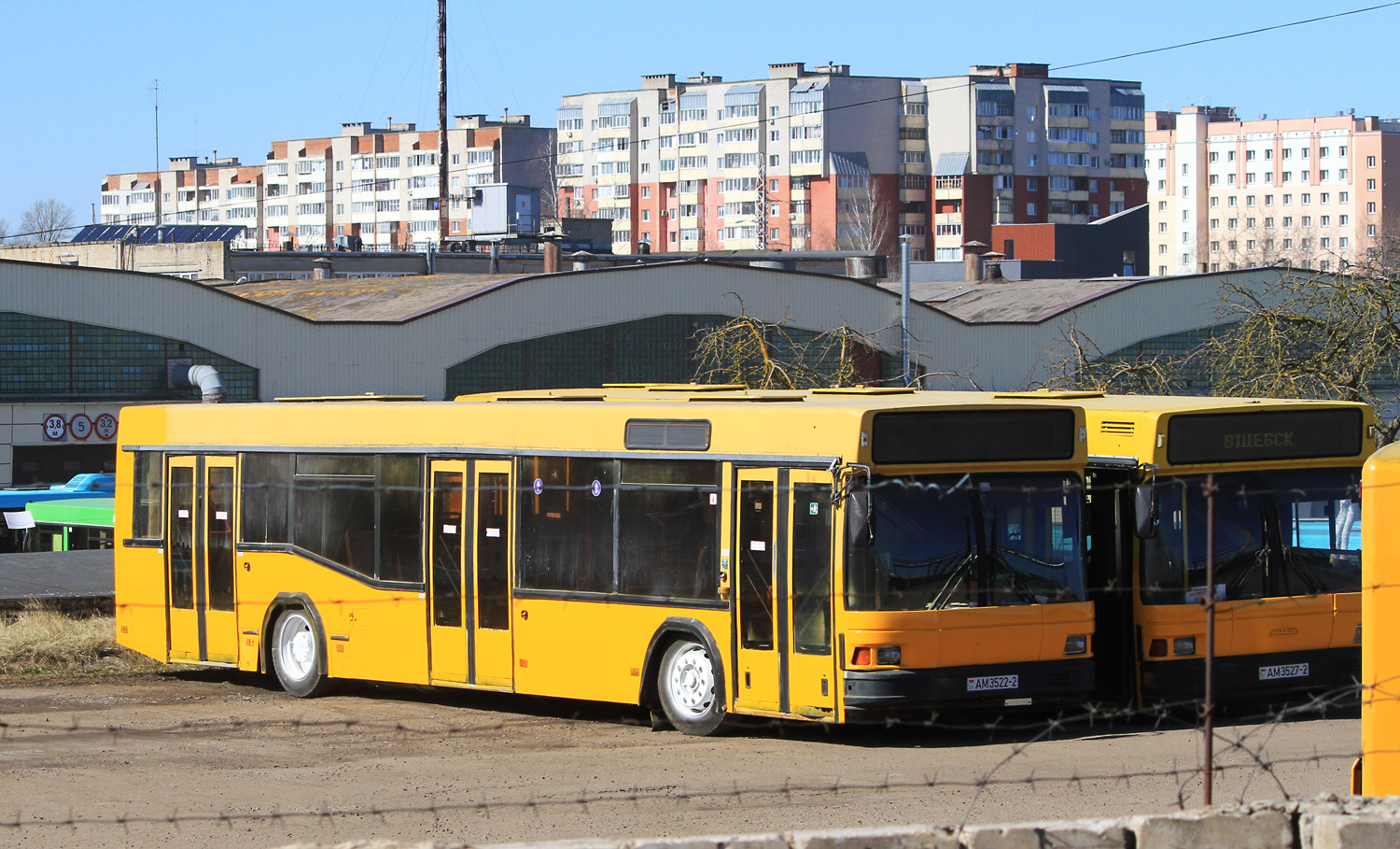 Витебская область, МАЗ-103.065 № 011801