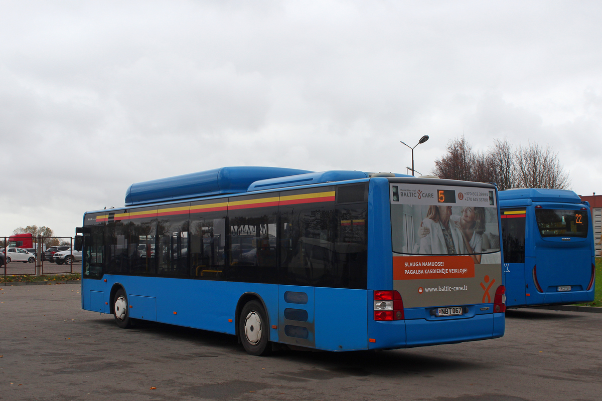 Литва, MAN A21 Lion's City NL313 CNG № 67