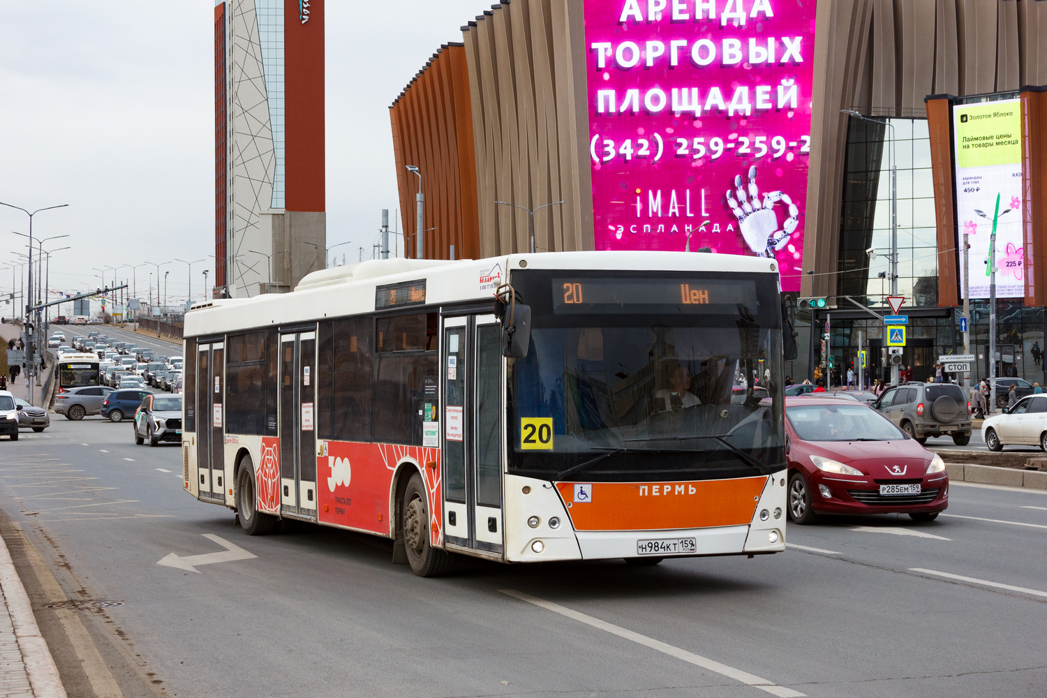 Пермский край, МАЗ-203.016 № Н 984 КТ 159