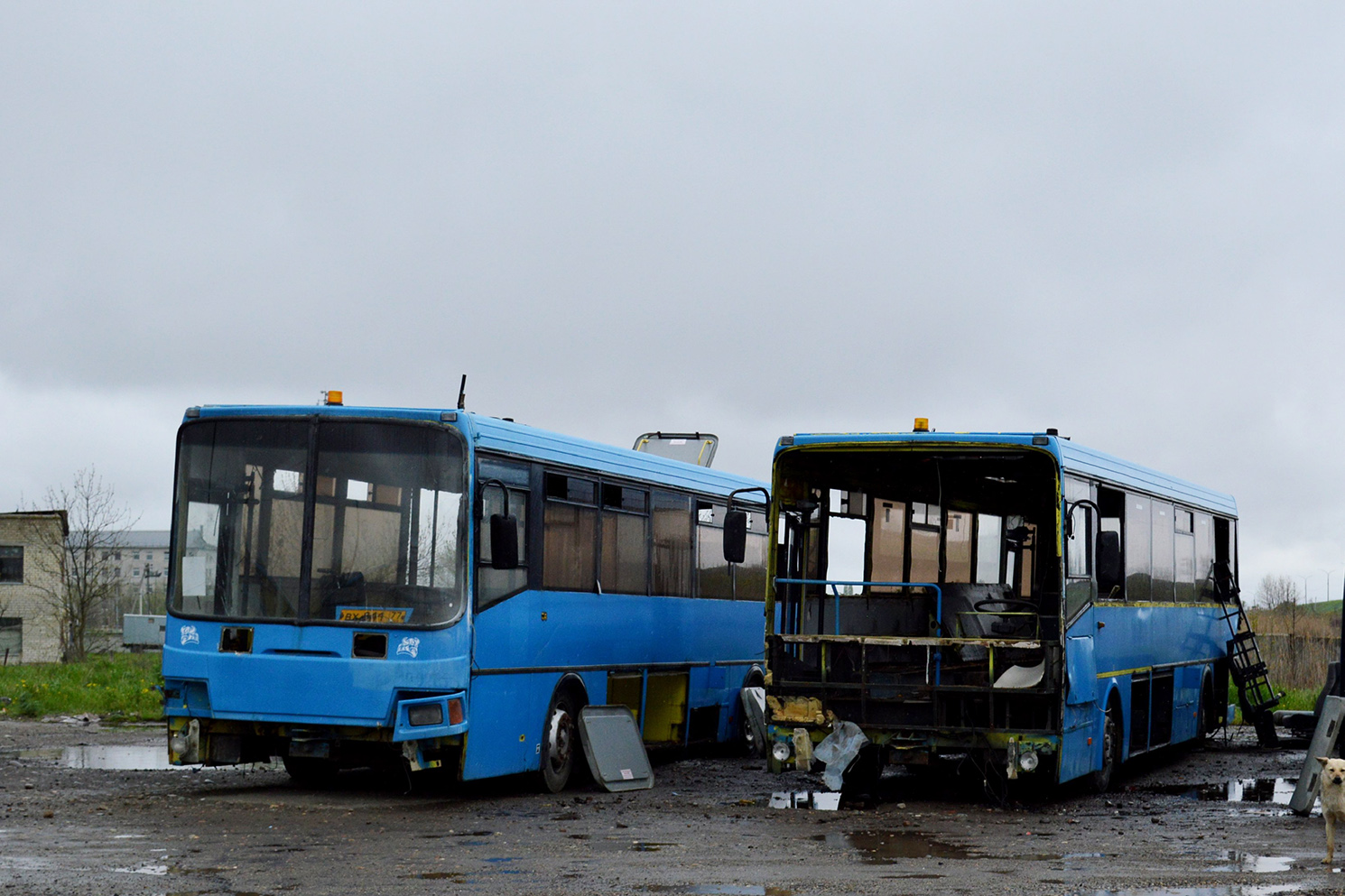 Ставропольский край, ЛиАЗ-5256.23-01 (ГолАЗ) № ВУ 875 77
