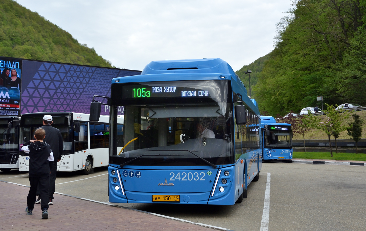 Краснодарский край, МАЗ-203.С65 № 242032