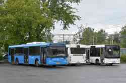 589 КБ