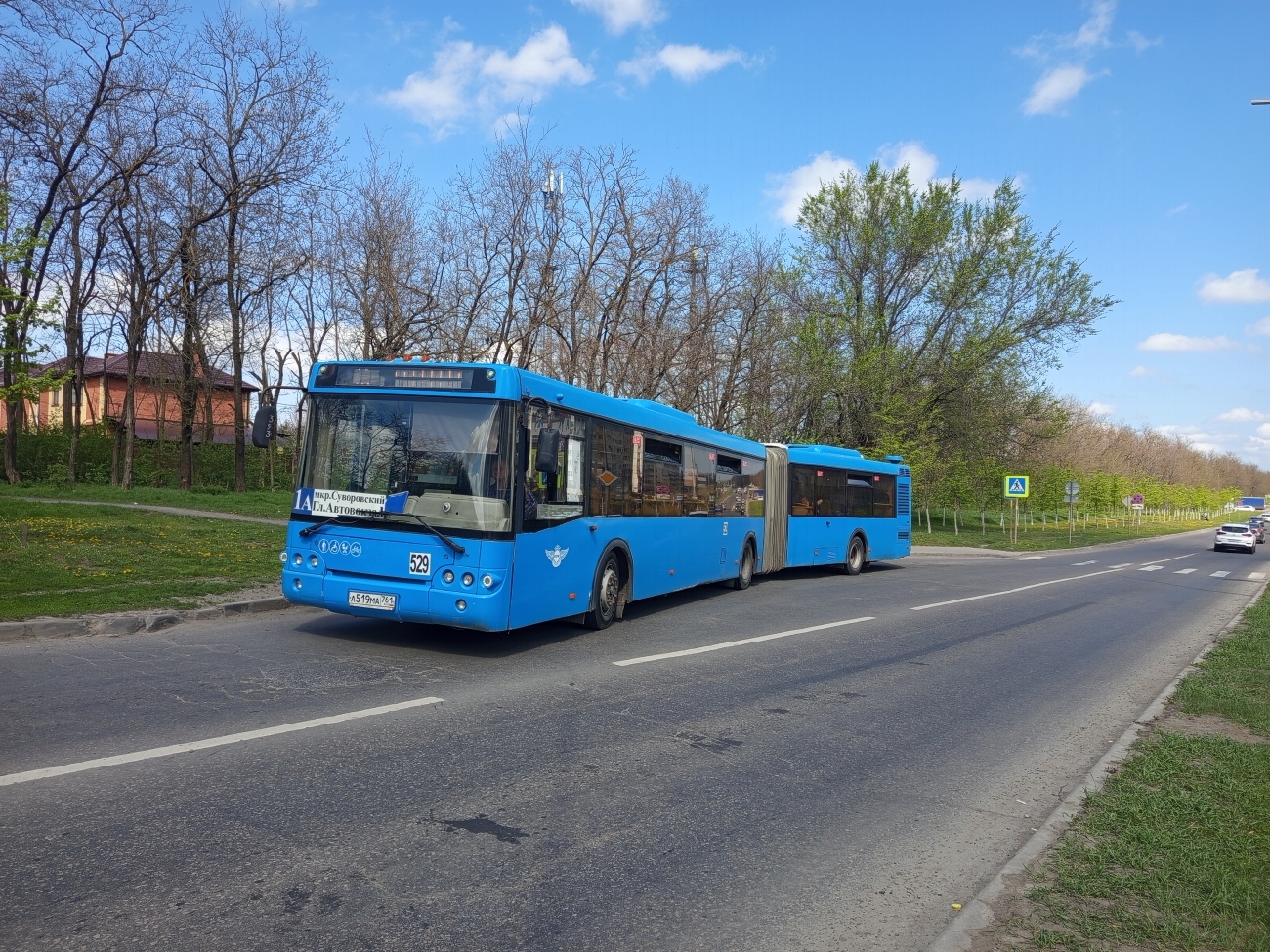 Ростовская область, ЛиАЗ-6213.22 № 529