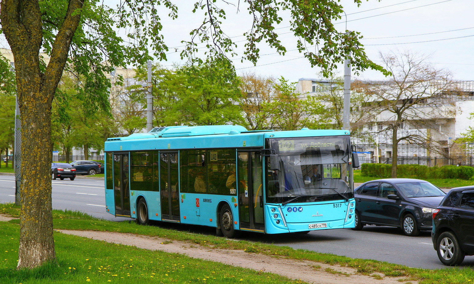 Санкт-Петербург, МАЗ-203.047 № 5317