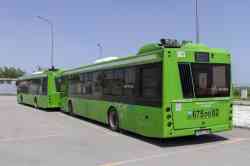 4869 КБ