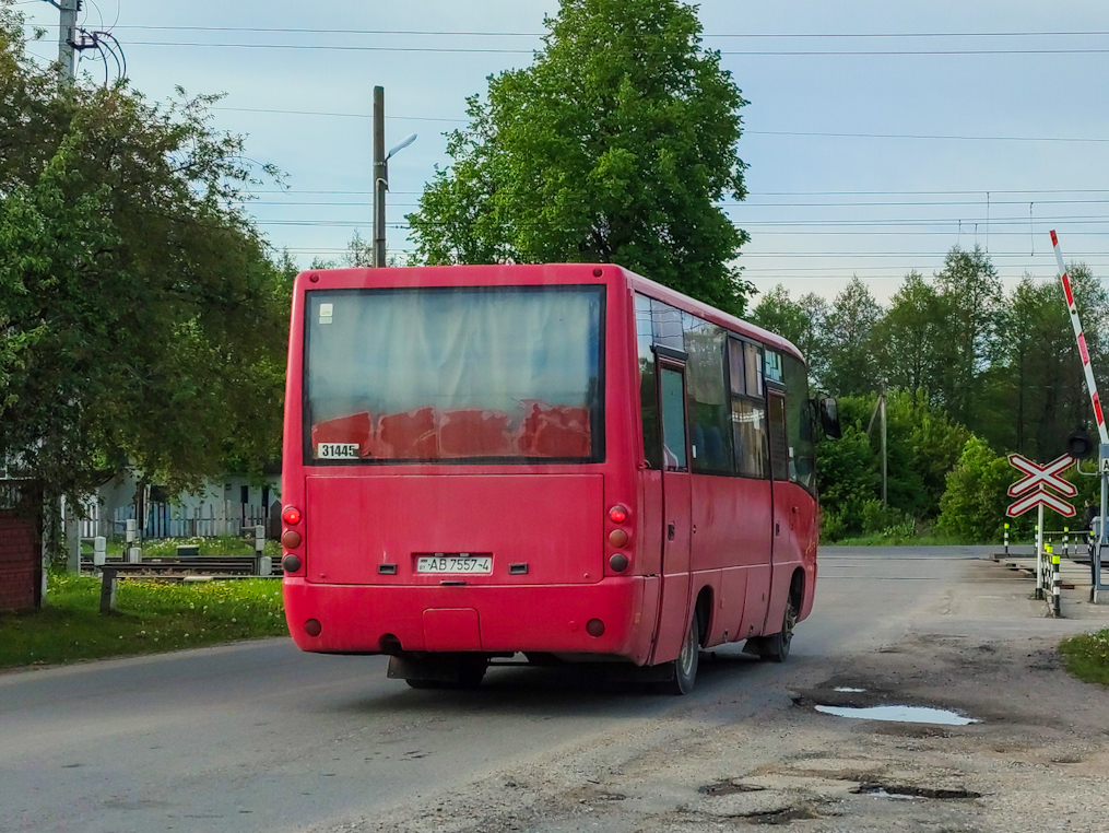 Гродненская область, МАЗ-256.170 № 31445