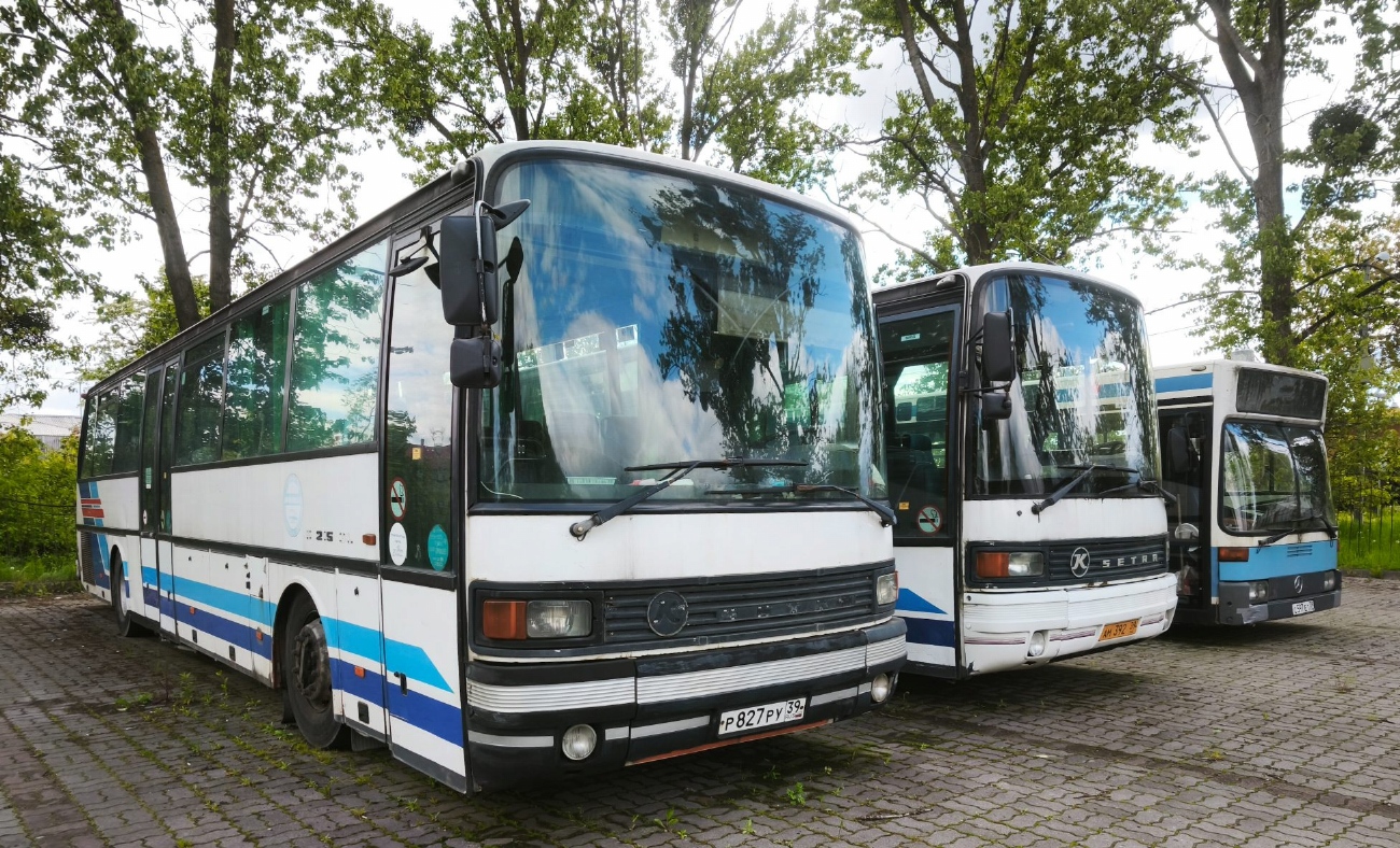 Калининградская область, Setra S215UL № Р 827 РУ 39